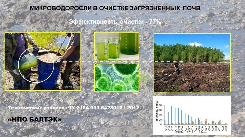 Рекультивация почвы от нефти НПО БАЛТЭК