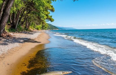 Ликвидация последствий разлива мазута в Анапе: комплексное предложение для МЧС России | НПО БАЛТЭК