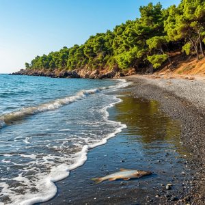 Очистка морских акваторий и прибрежных зон от мазутных загрязнений технологии для защиты пляжей, восстановления донных экосистем и ликвидации последствий разливов НПО БАЛТЭК