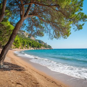 Очистка моря современные технологии и комплексные решения НПО БАЛТЭК