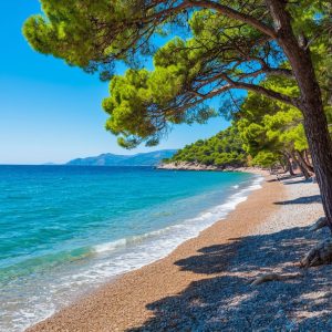 Разлив мазута современные технологии очистки акваторий, донных отложений и пляжей НПО БАЛТЭК