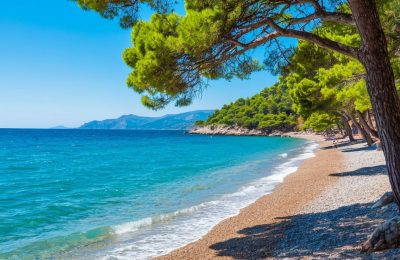 Разлив мазута: современные технологии очистки акваторий, донных отложений и пляжей | НПО БАЛТЭК